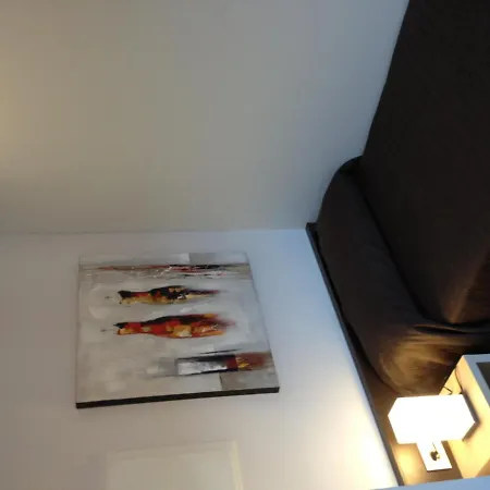 Apartaments I Habitacions Can Morera Olot-2